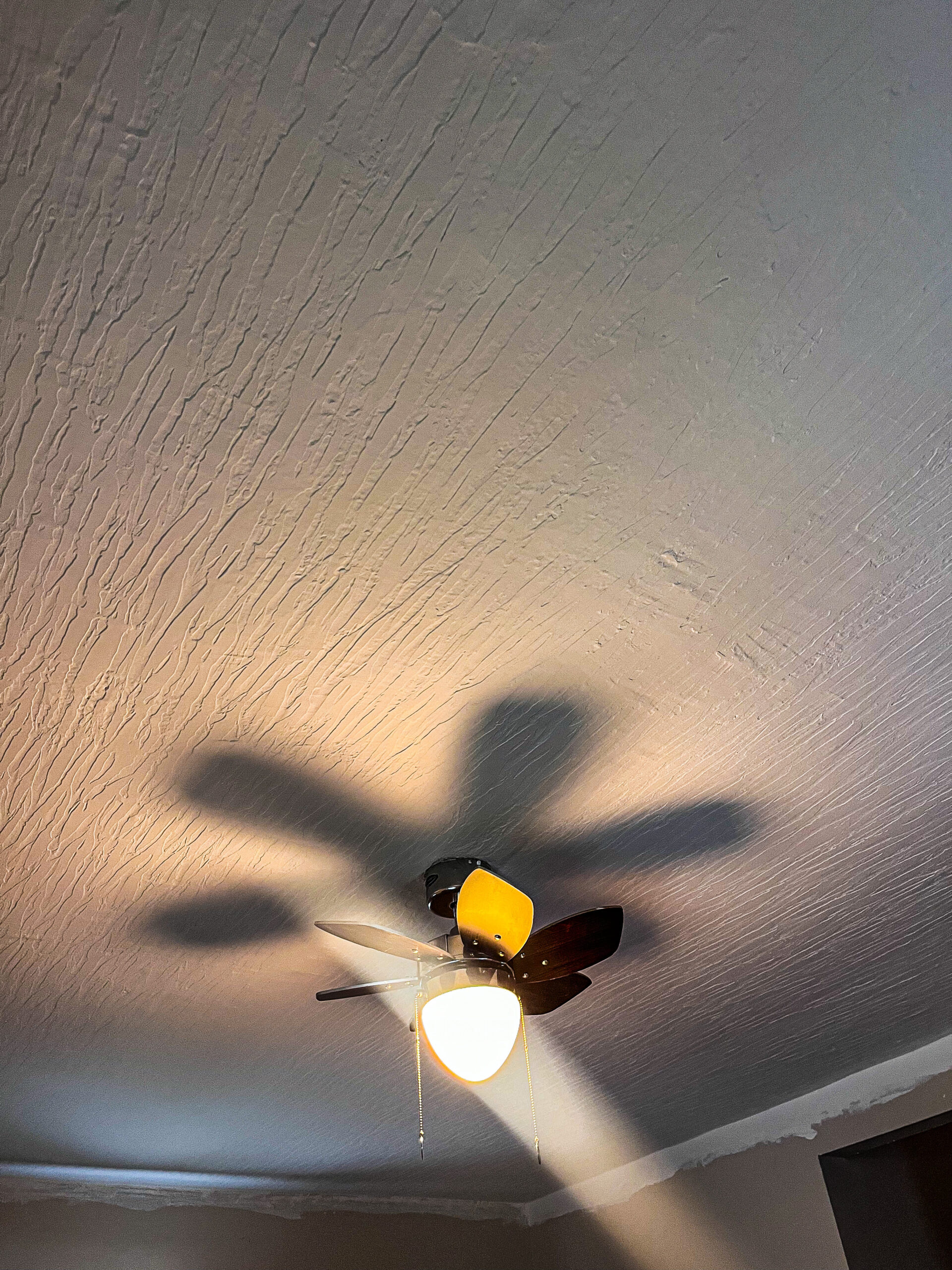 BBC07A0C-6A07-4B74-A4E1-FF9BD9E84281